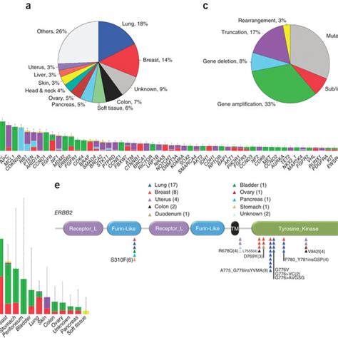 Clinically Actionable Alterations In Patient Samples A Distribution Download Scientific