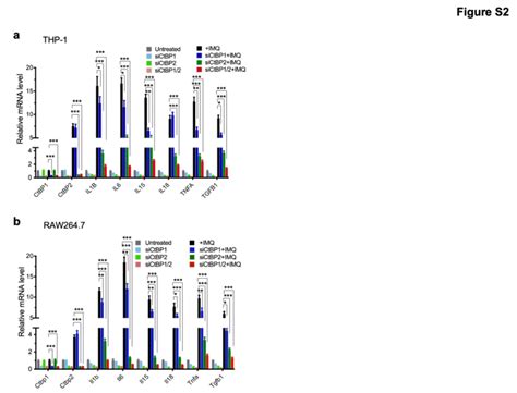 Figure S2. Requirement of CtBP1 and CtBP2 for proinflammatory gene ... 