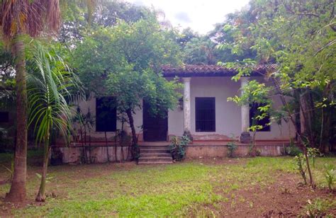 Casa Antigua Asunci N Paraguay Vibrant Colors Plants Tree