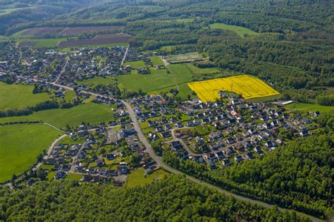 Arnsberg Von Oben Feld Landschaft Gelb Bl Hender Raps Bl Ten In