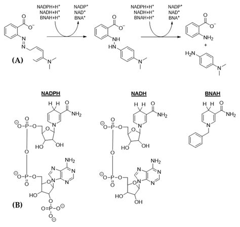 Ijerph Free Full Text Microbial Degradation Of Azo Dyes Approaches