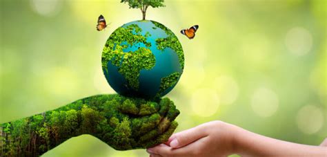 Inauguran COP15 Proteger La Naturaleza El Objetivo Greentology