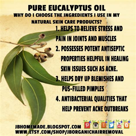 JBHomemade Sugaring And Skincare 27 Benefits Of Eucalyptus And