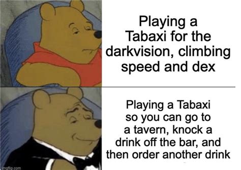 A Purrfect Rp Opportunity Rdndmemes