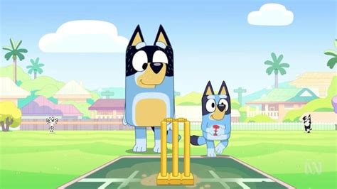 Bluey's cricket episode perfectly encapsulates the meaning of the game - ABC News : r/bluey