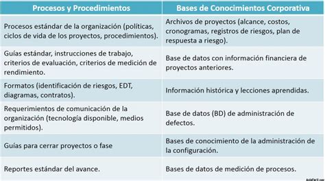 🥇 【 Activos De Los Procesos De La Organización Conceptos Básicos De