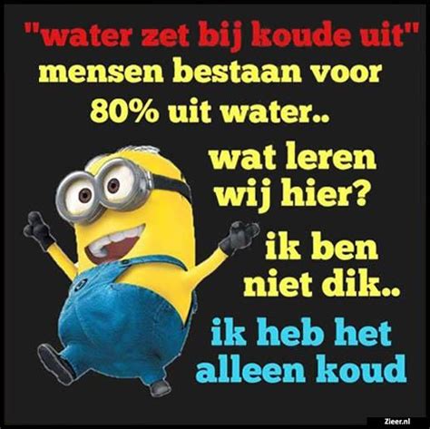 Water Zet Bij Koude Uit Grappige Gezegden Minions Grappig Minion