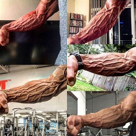 Veins Popping Like Arm Workout Gym Workout Tips Forearm Workout