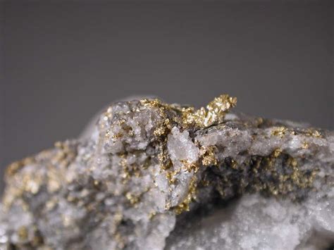 Gold Telluride David K Joyce Minerals