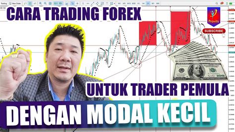 Cara Trading Forex Pemula Modal Kecil Follow Trend Dibongkar Provits