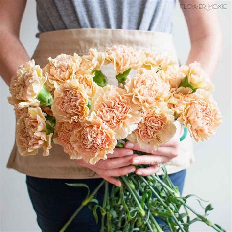 Terracotta Carnations Bulk Diy Wedding Flowers Flower Moxie