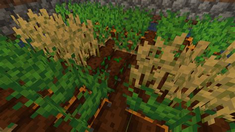 Is There Any Reason For This Crop Not Growing R Minecraft