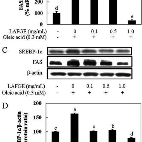 Effect Of Lafge On Relative Expression Of Mrnas Of Srebp C And Fas