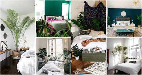 15 Fascinating Bedrooms With Plants That Look Like A Jungle