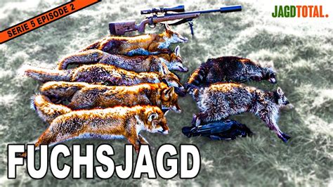 FUCHSJAGD TOTAL Fuchs Erfolgreicher Jagen JAGD TOTAL YouTube