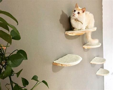 Playground Para Gatos Nas Nuvens Gattedo Store