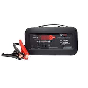 Schumacher Electric Automotive 6 Volt And 12 Volt 2 Two Bank