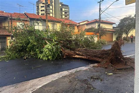 Chuva Em Sp Mata Seis Pessoas Derruba Rvores E Moradores Ficam Mais