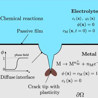 Pdf Electro Chemo Mechanical Phase Field Modeling Of Localized