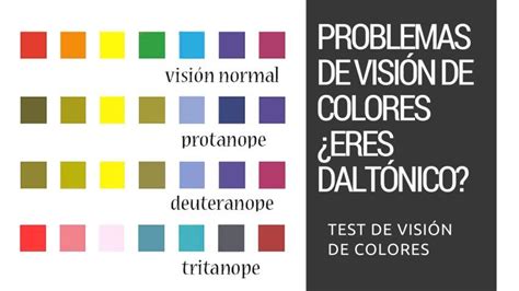 El DALTONISMO Y Los Problemas De Visión De Colores Incluye Test