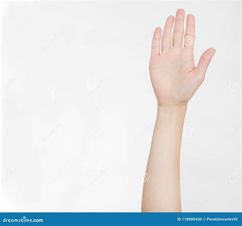 Hand Isolated on White.Voting Hand. Mock Up. Copy Space. Template ...