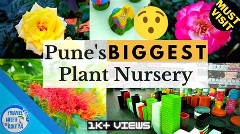 BIGGEST Plant Nursery In Pune Enchanted Gardens YouTube