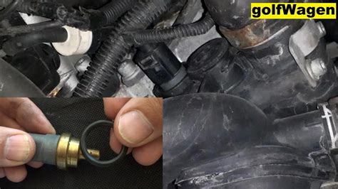 Vw Touareg Coolant Temperature Sensor Change Location Youtube