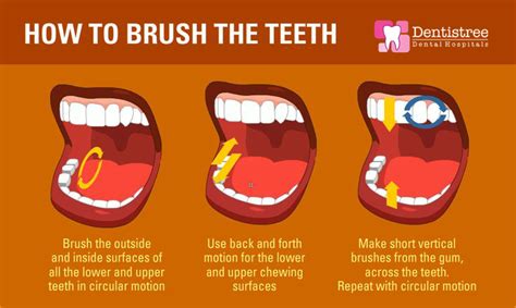 How To Brush Your Teeth For Avoid The Tooth Cavities Best Dentist Dentist In Dental Clinic