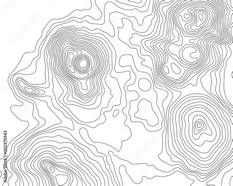 Abstract Black And White Topographic Contours Lines Of Mountains