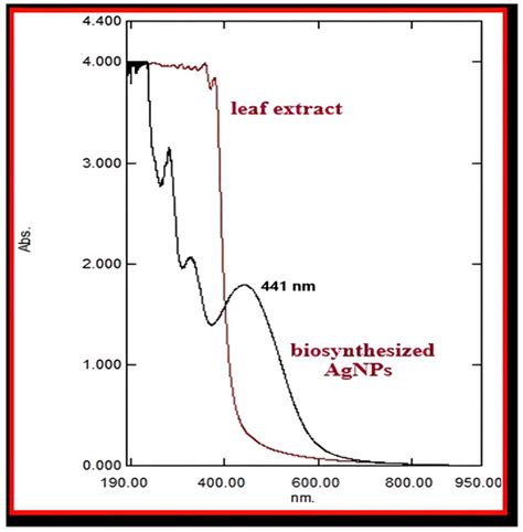 Processes Free Full Text Phytofabrication Of Silver Nanoparticles