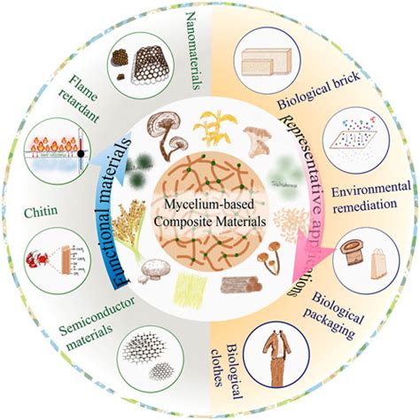 Frontiers Material Function Of Mycelium Based 52 OFF