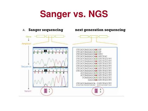 Ppt Next Generation Sequencing Powerpoint Presentation Free Download