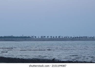 Al Ruwais Beach Sea Water Moor Stock Photo 2151199087 | Shutterstock