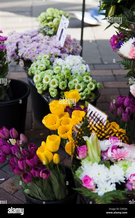 Market Stall Flowers Hi Res Stock Photography And Images Alamy