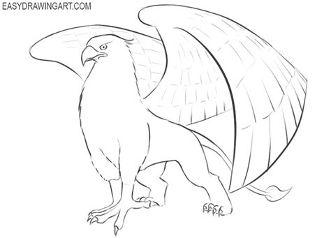 Simple Gryphon Drawings