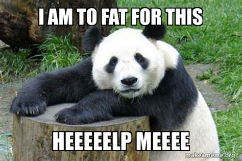 I Am To Fat For This Heeeeelp Meeee Confession Panda Meme Generator