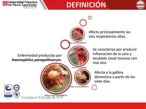 Coriza Infecciosa Aviar Ppt