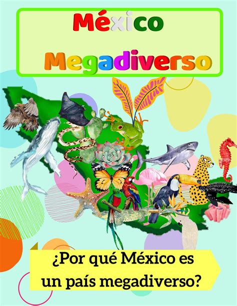 México Megadiverso by Ximena Plascencia Issuu