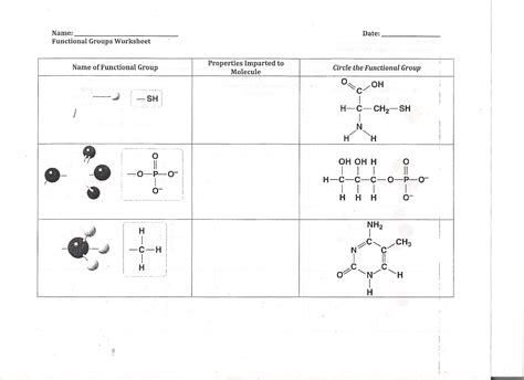 Identifying Functional Groups Worksheets