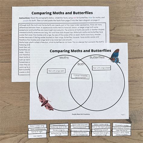 Butterflies And Moths Sorting Worksheet Sorting Game Venn Diagram Comparison Chart Facts