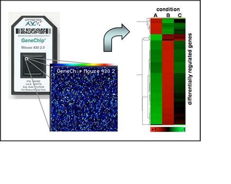 RCF GeneChip Microarray System