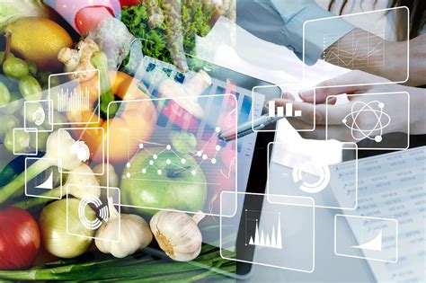 El Sector Agroalimentario Y Su Enfoque Global