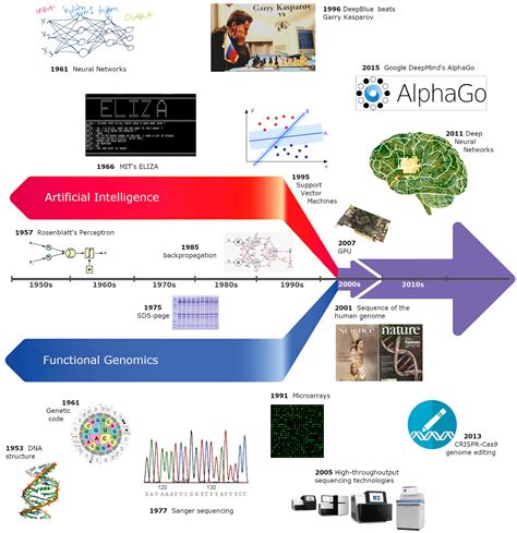 Ai Applications In Functional Genomics Computational And Structural