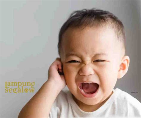 Perbedaan Sakit Telinga Dan Infeksi Telinga Pada Anak Lampungsegalow