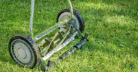 5 Best Reel Mowers [2025 Reviews & Buyers Guide]