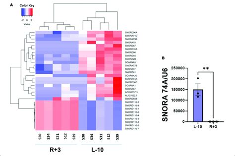 Small Rna Sequencing Of Ev Derived Rna Content A Heat Map Of