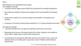 Causes and types of DNA damage.pptx