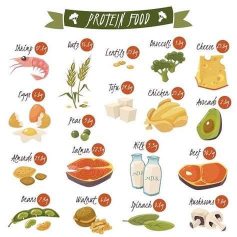 ¿qué Alimentos Tienen Más Proteínas Recetas Fáciles ️