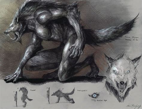 Werewolf Werewolf Werewolf Art Vampires And Werewolves