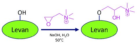 Synthetic Scheme For Cationized Levan Using Glycidyl Trimethylammonium Download Scientific